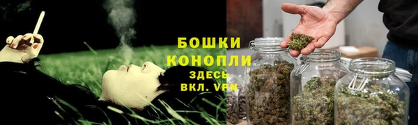сатива Баксан