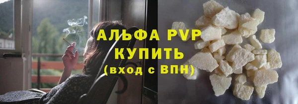 сатива Баксан