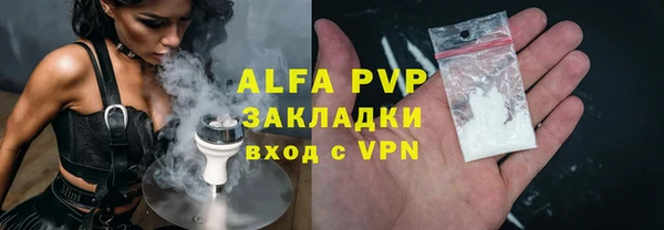 сатива Баксан