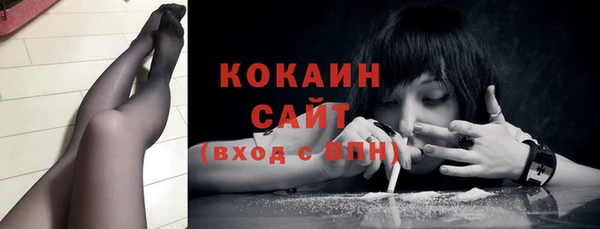 сатива Баксан