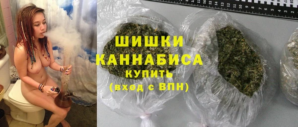 сатива Баксан