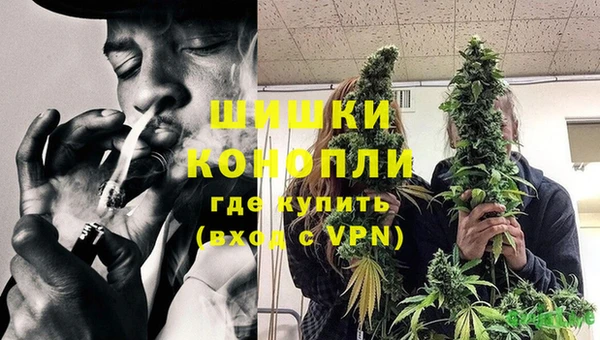 сатива Баксан
